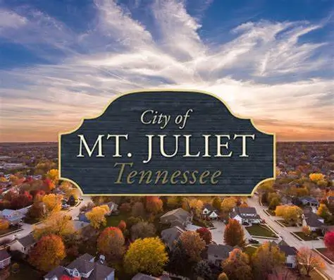 Landscape Lighting in Mt. Juliet Landscape Lighting in Mt. Juliet