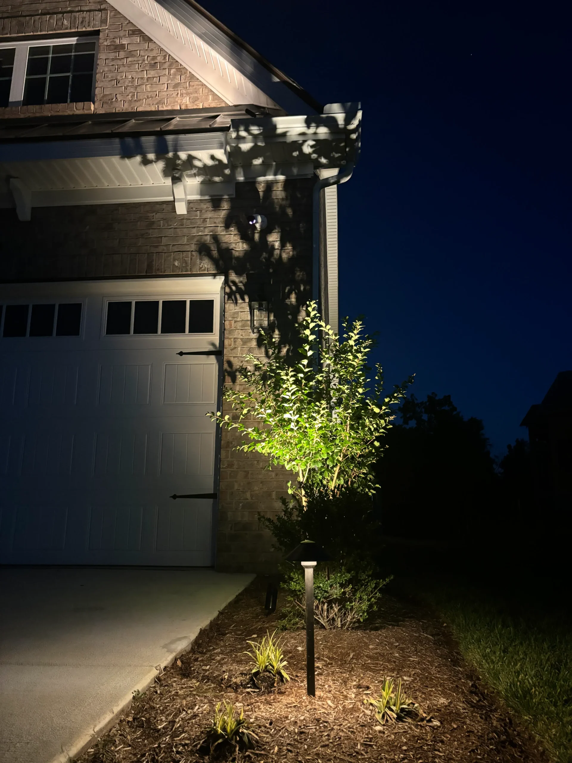 Tree Lights (Outdoor) Tree Lights (Outdoor)