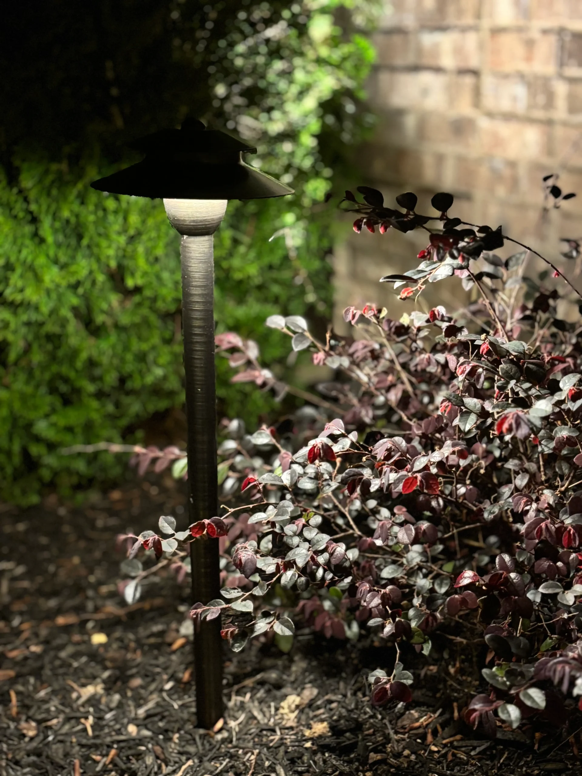 Photo Pathway Lighting (1) low voltage exterior lights